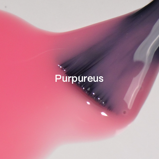 didier-lab-studios-didier-uv-nagellack-purpureus-hema-tpo-frei-8ml image 3