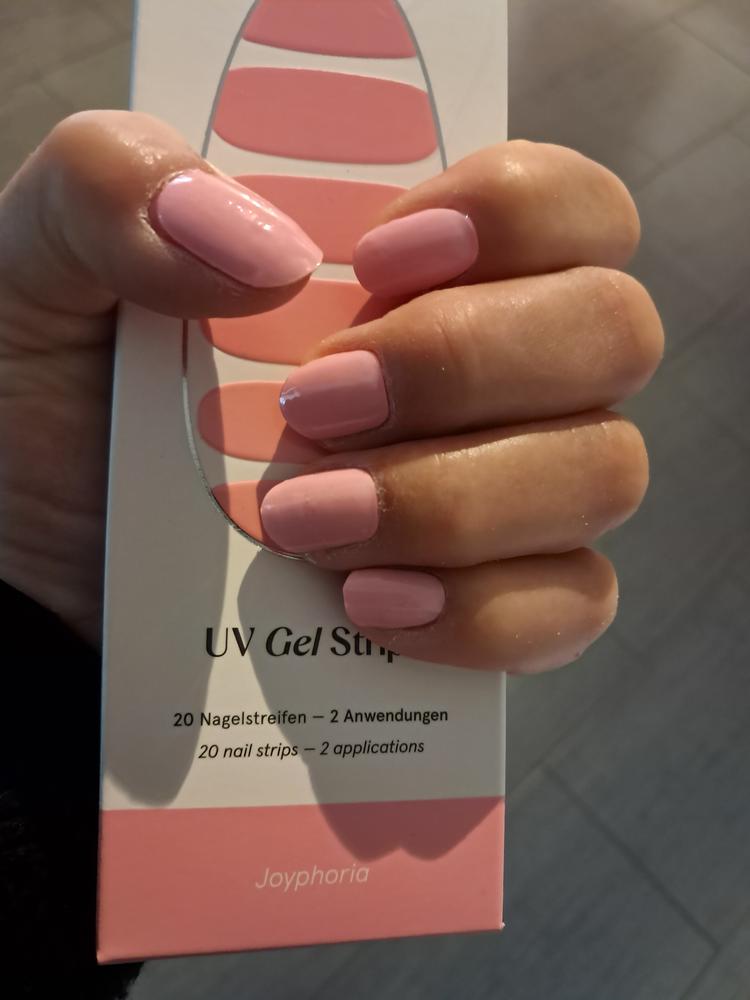 Mein Lieblingsrosa