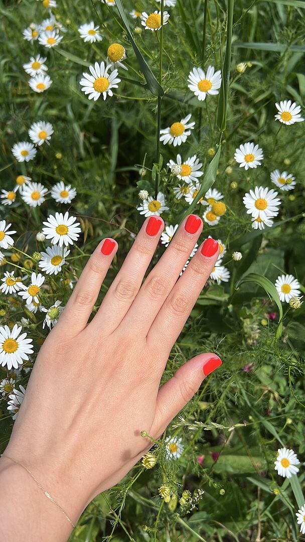 Perfekte Sommerfarbe