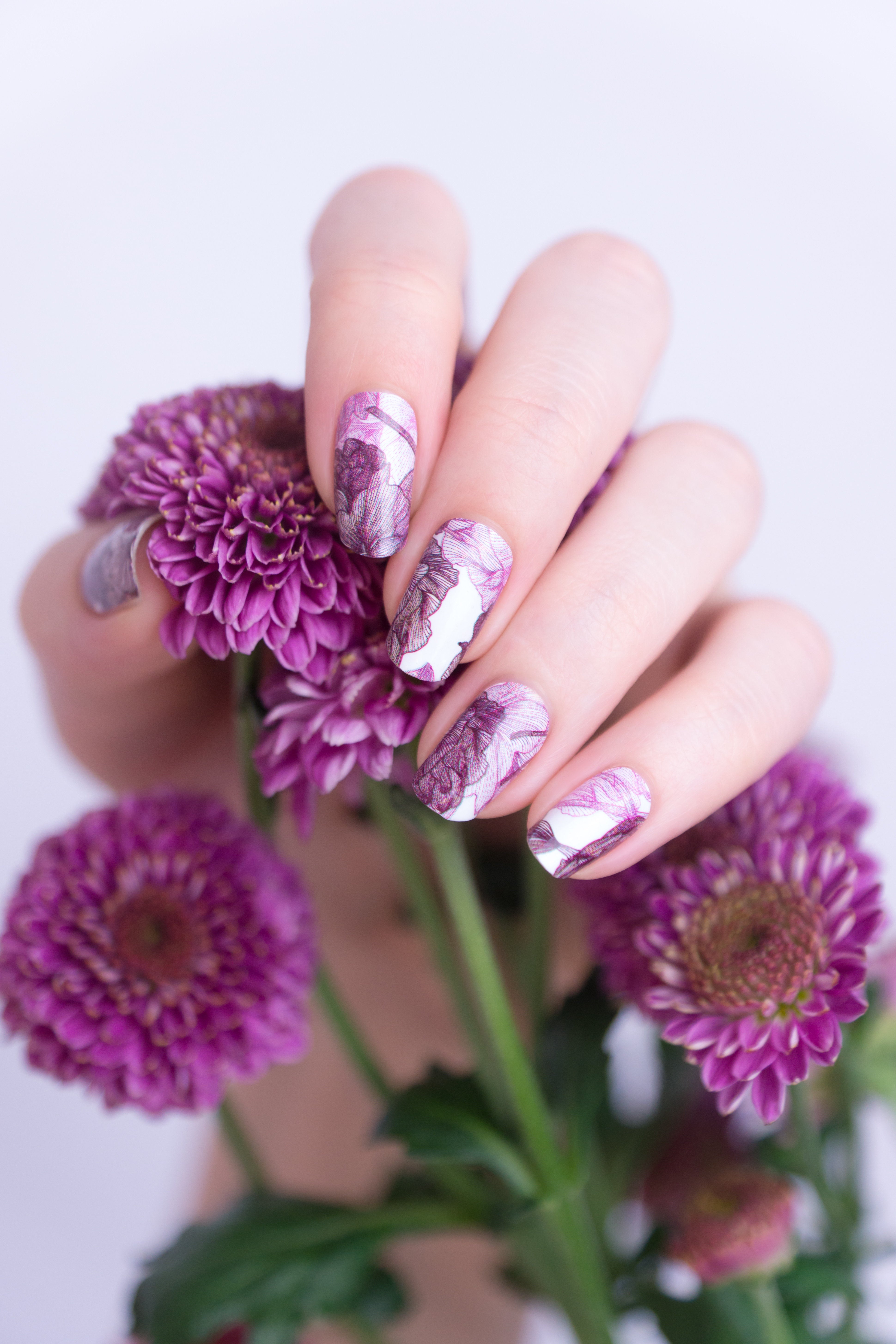miss-sophie-romantic-blush-nagelfolien image 2