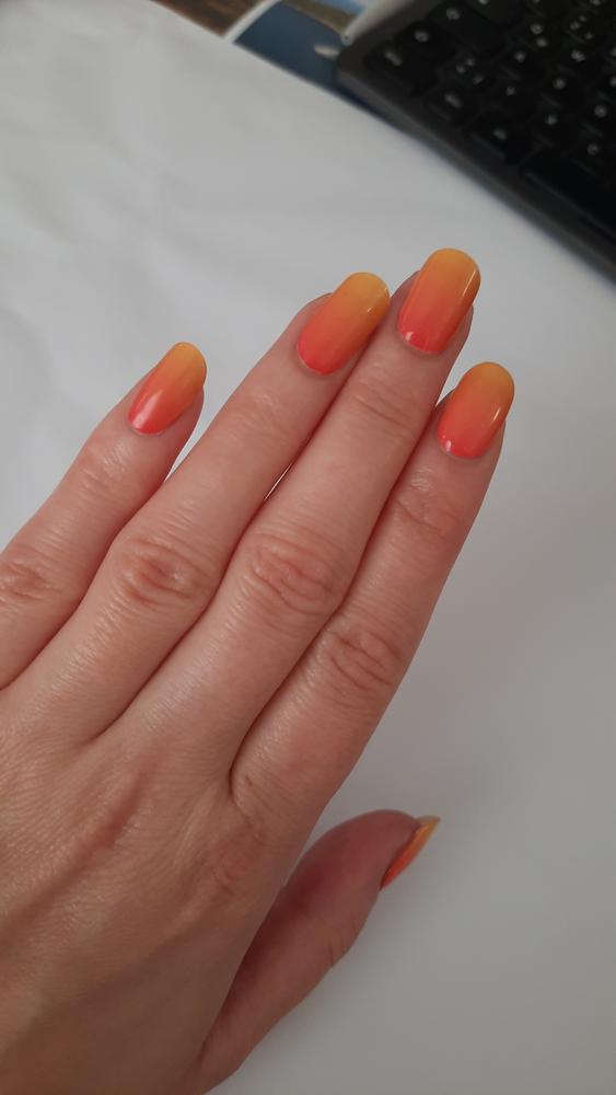 Lebendige Farben