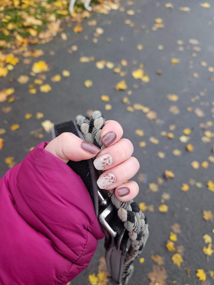 Mein Favorit für den Winter