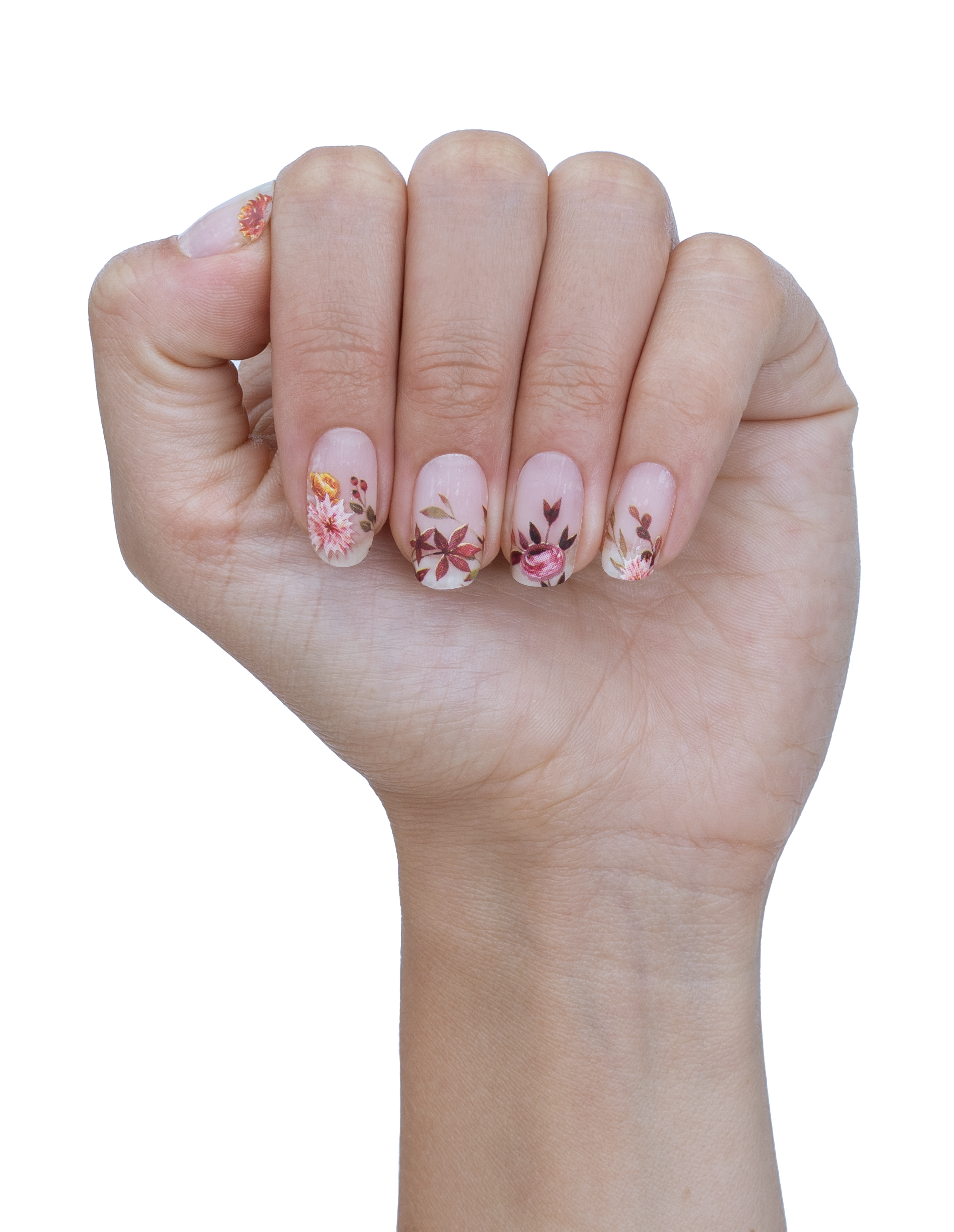 miss-sophie-fall-harvest-nagelfolien image 3