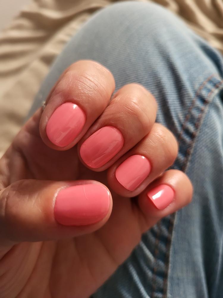 Tolle Farbe, Halt mittel
