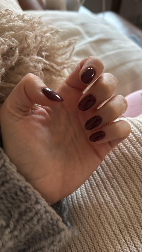 Herbst Favorit