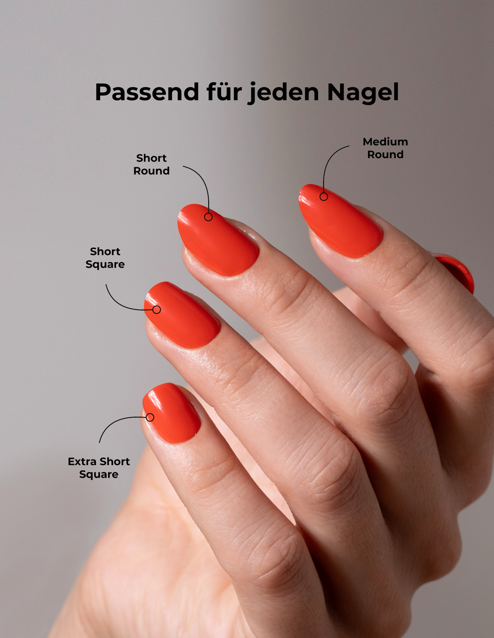 miss-sophie-french-tips-press-on-nails-medium-round image 6