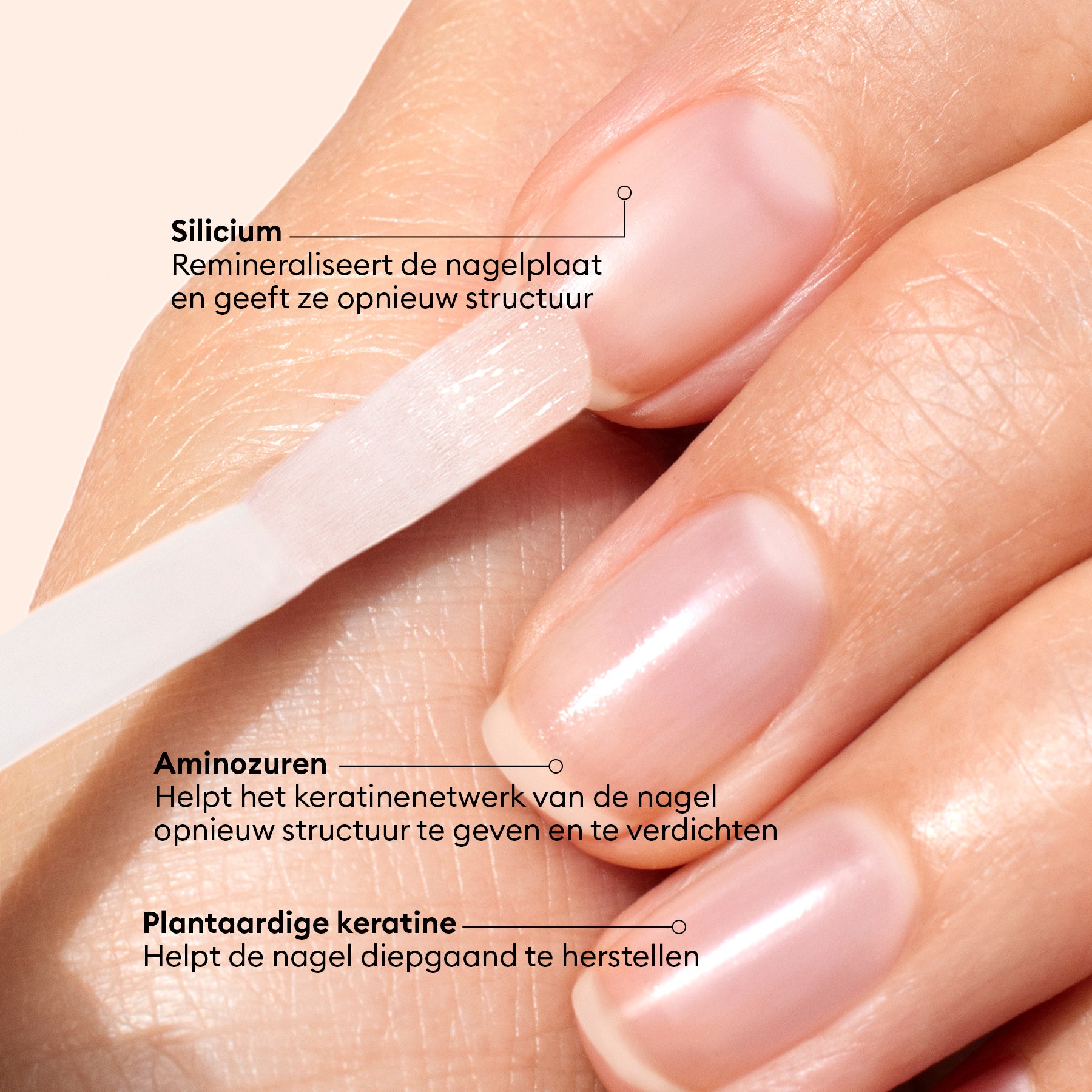 manucurist-bitter-nagellack-anti-n-gelkauen-pflege image 8