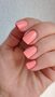 Sommer, Sonne, Tangerine