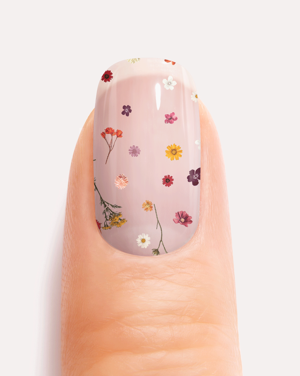 maniko-wildflowers-uv-uv-gel-strips-manik-re-semi-transparent image 7