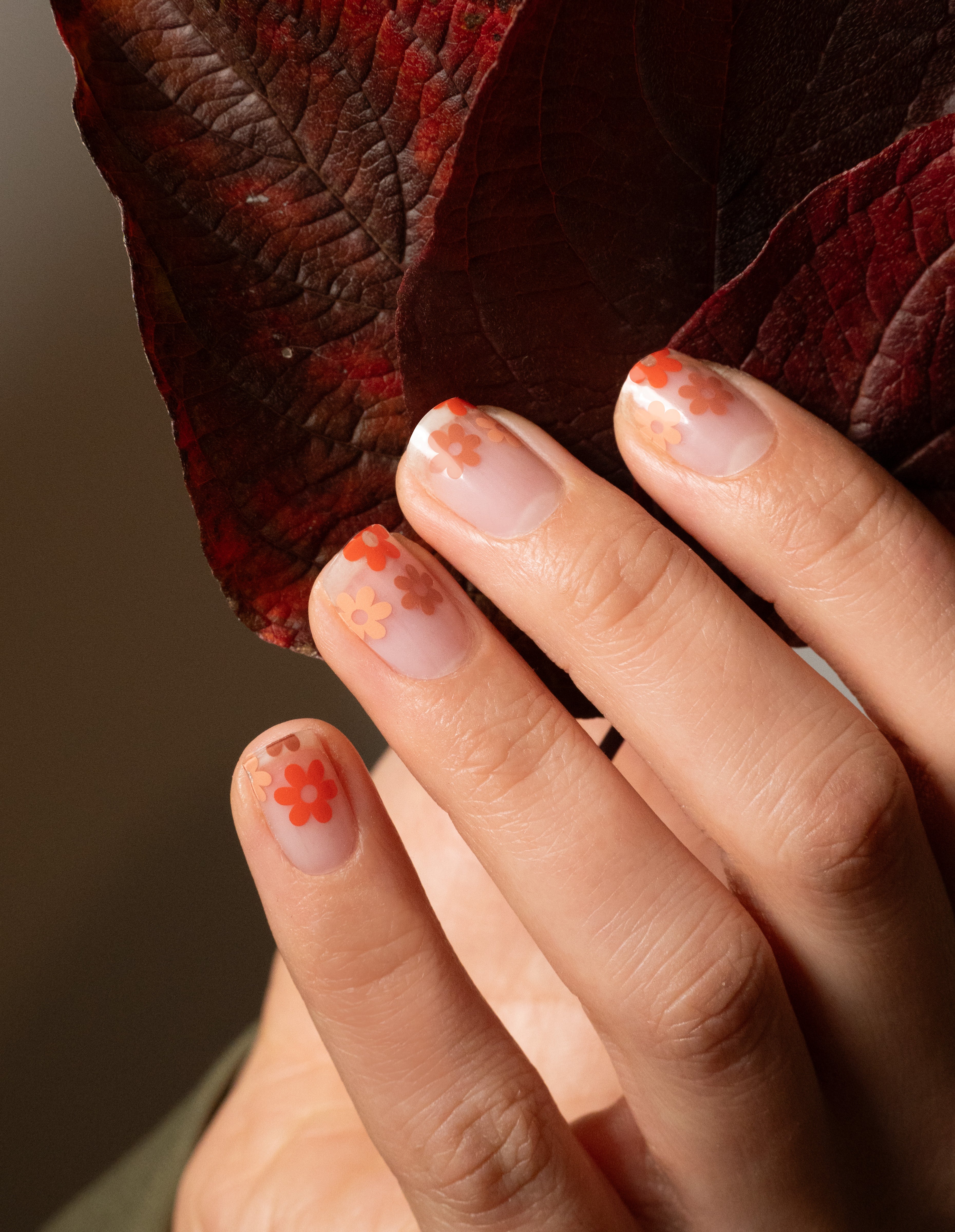 miss-sophie-daisy-tips-nail-wraps image 3