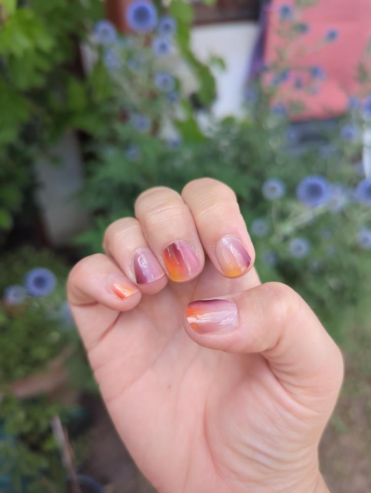 Farbe toll, Halt mittel