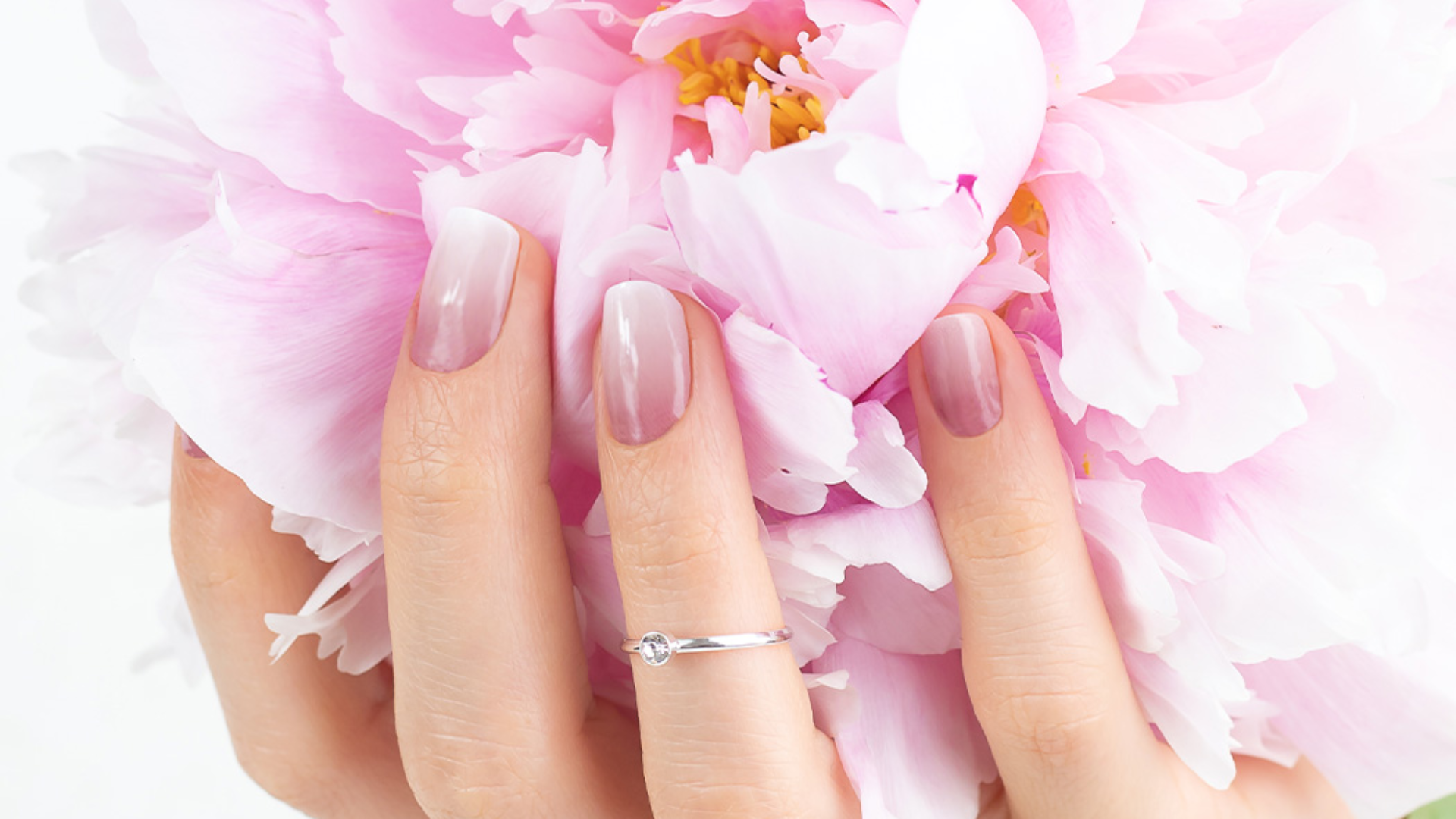 miss-sophie-rosy-love-uv-uv-gel-nagelfolien-ombr-ros image 3
