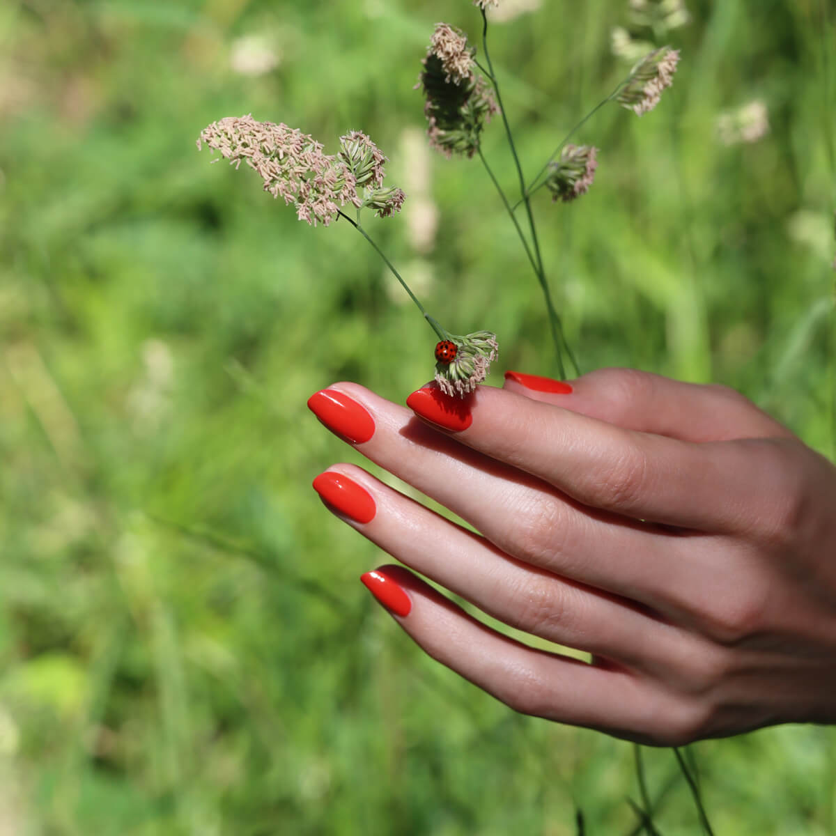 manucurist-green-nagellack-red-coral-korallenrot image 3