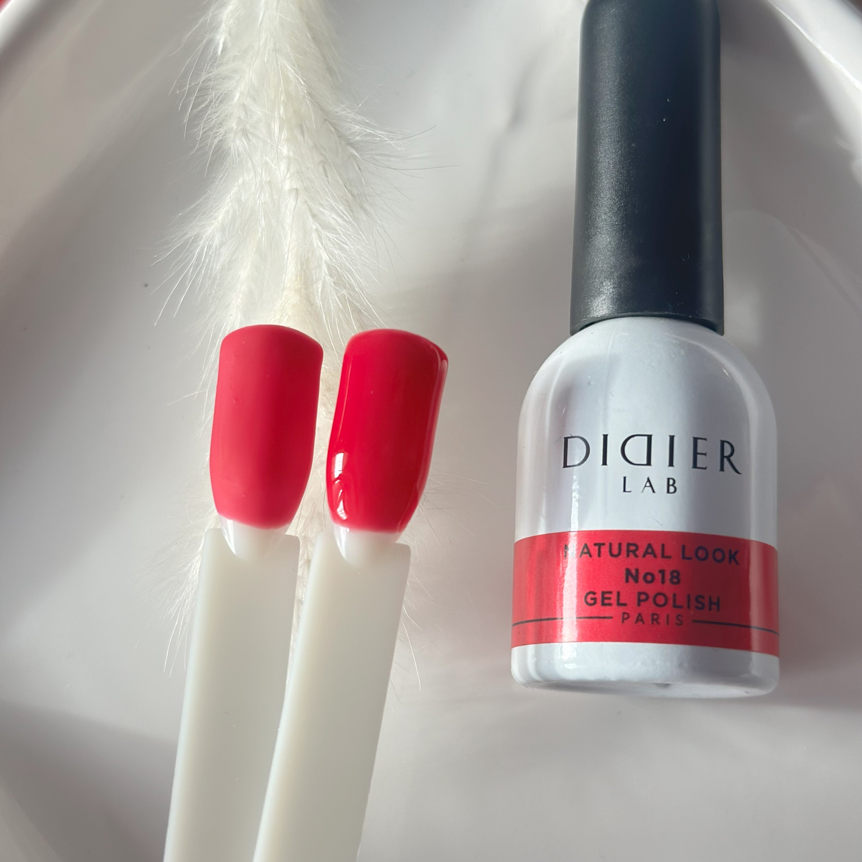 didier-lab-natural-look-no-18-uv-nagellack-10ml image 3
