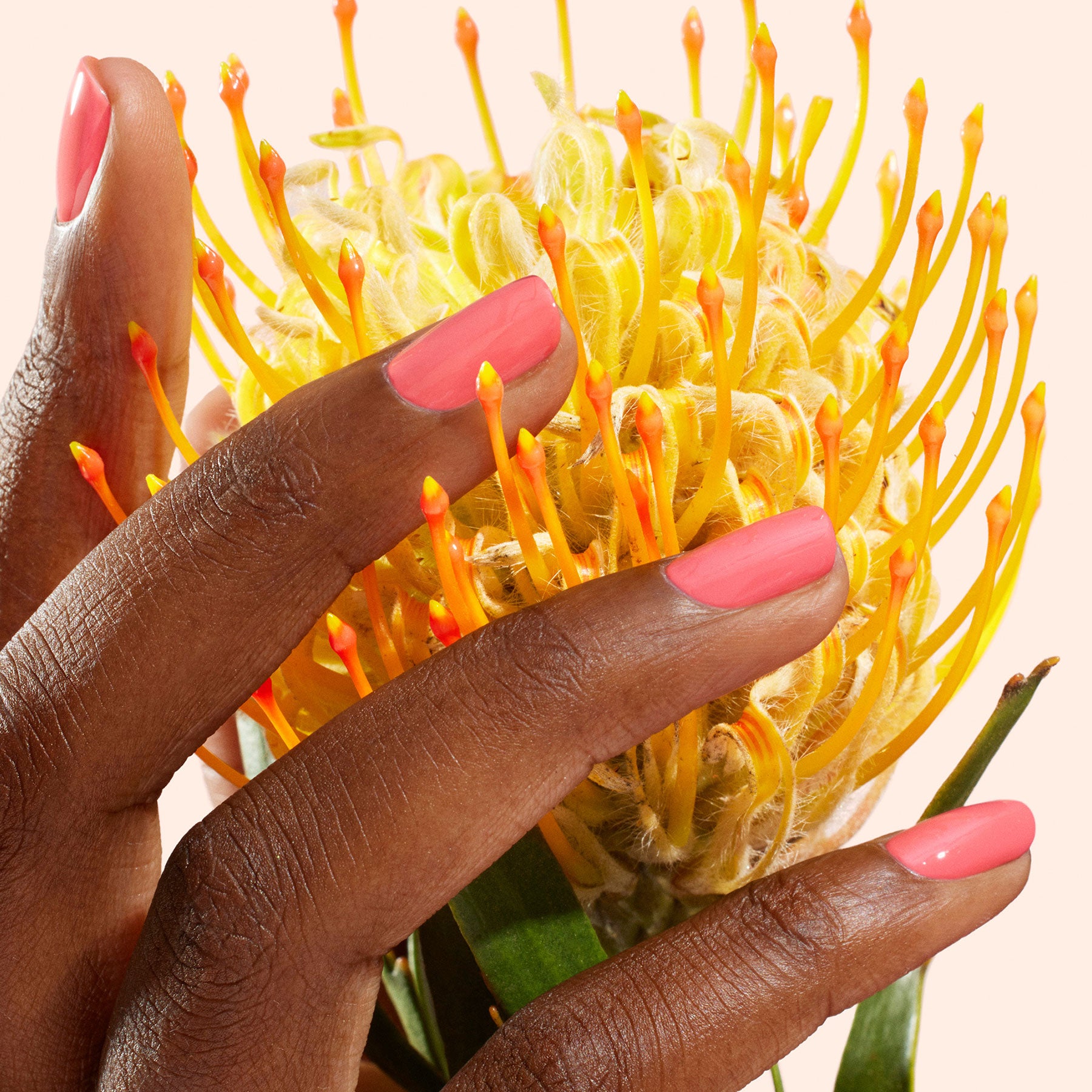 manucurist-green-flash-capucine-gel-nagellack-korallenrosa image 3