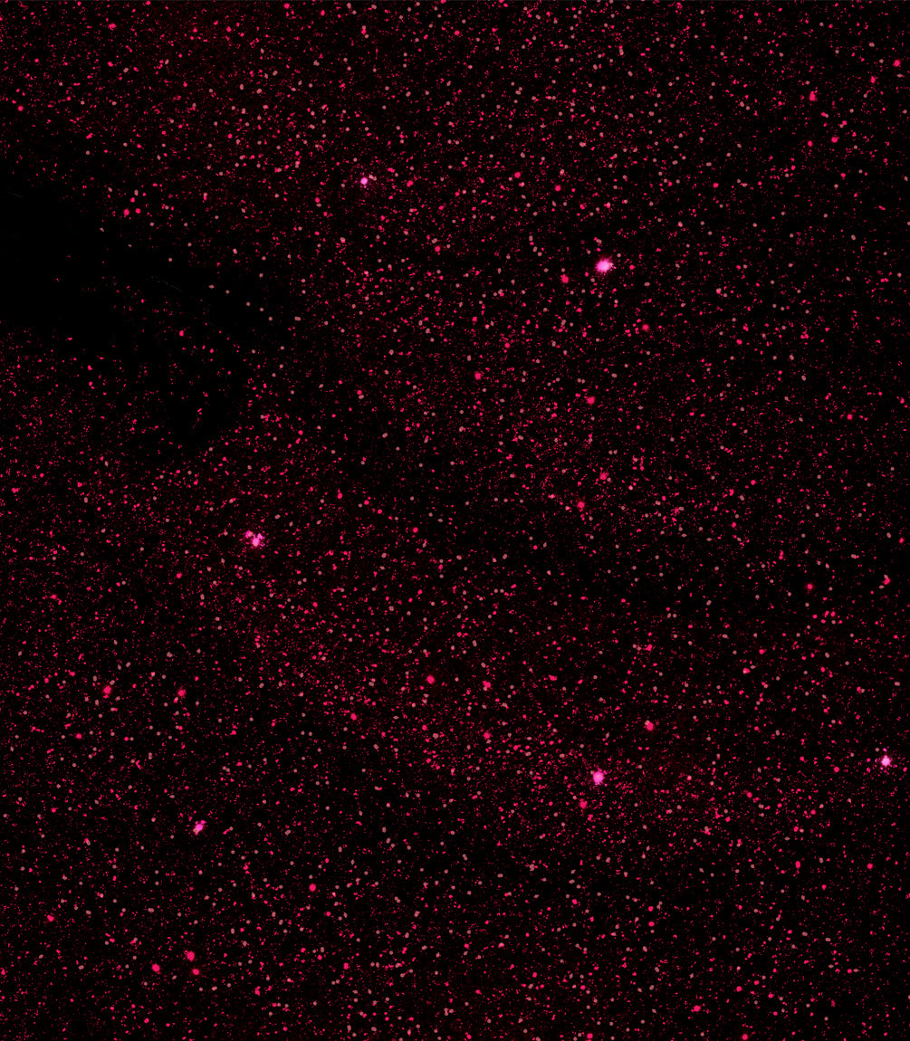 pink-gellac-308-dramatic-red-gel-nagellack-glitzer image 2