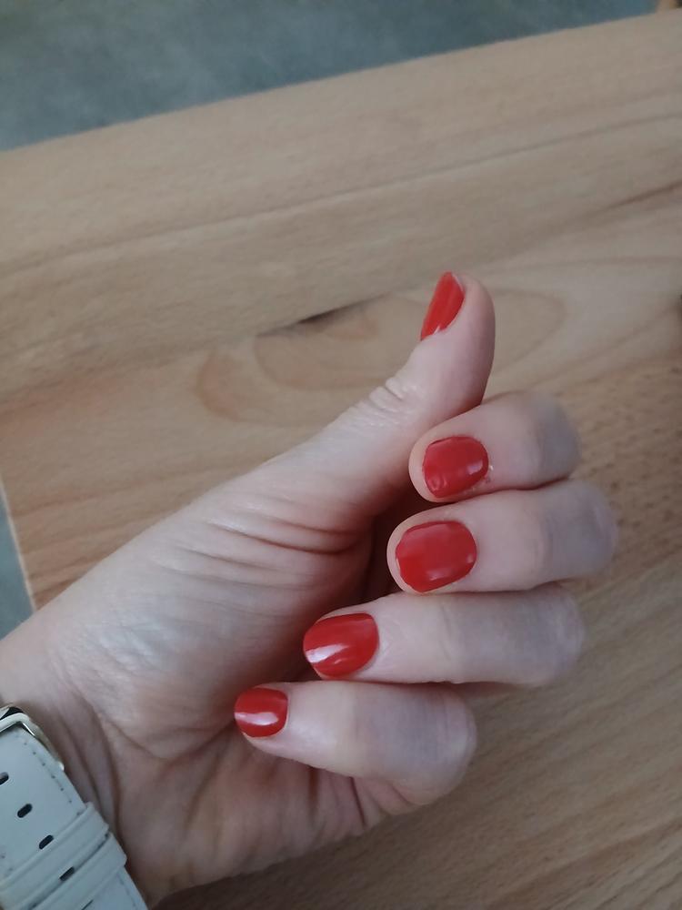Für Anfänger geeignet