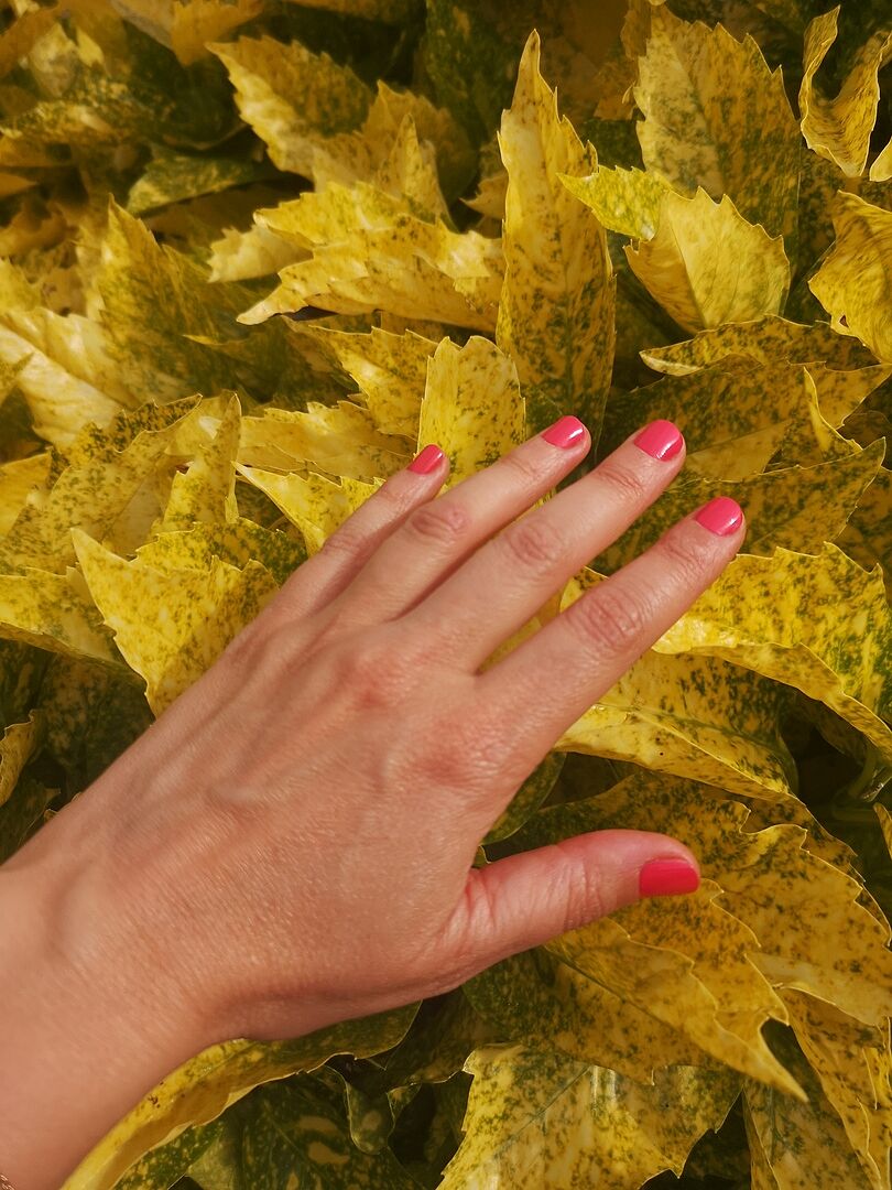 Glazed Nails ganz einfach
