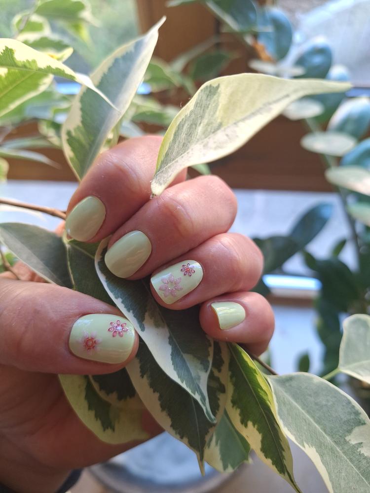 Frische Farbe für den Frühling