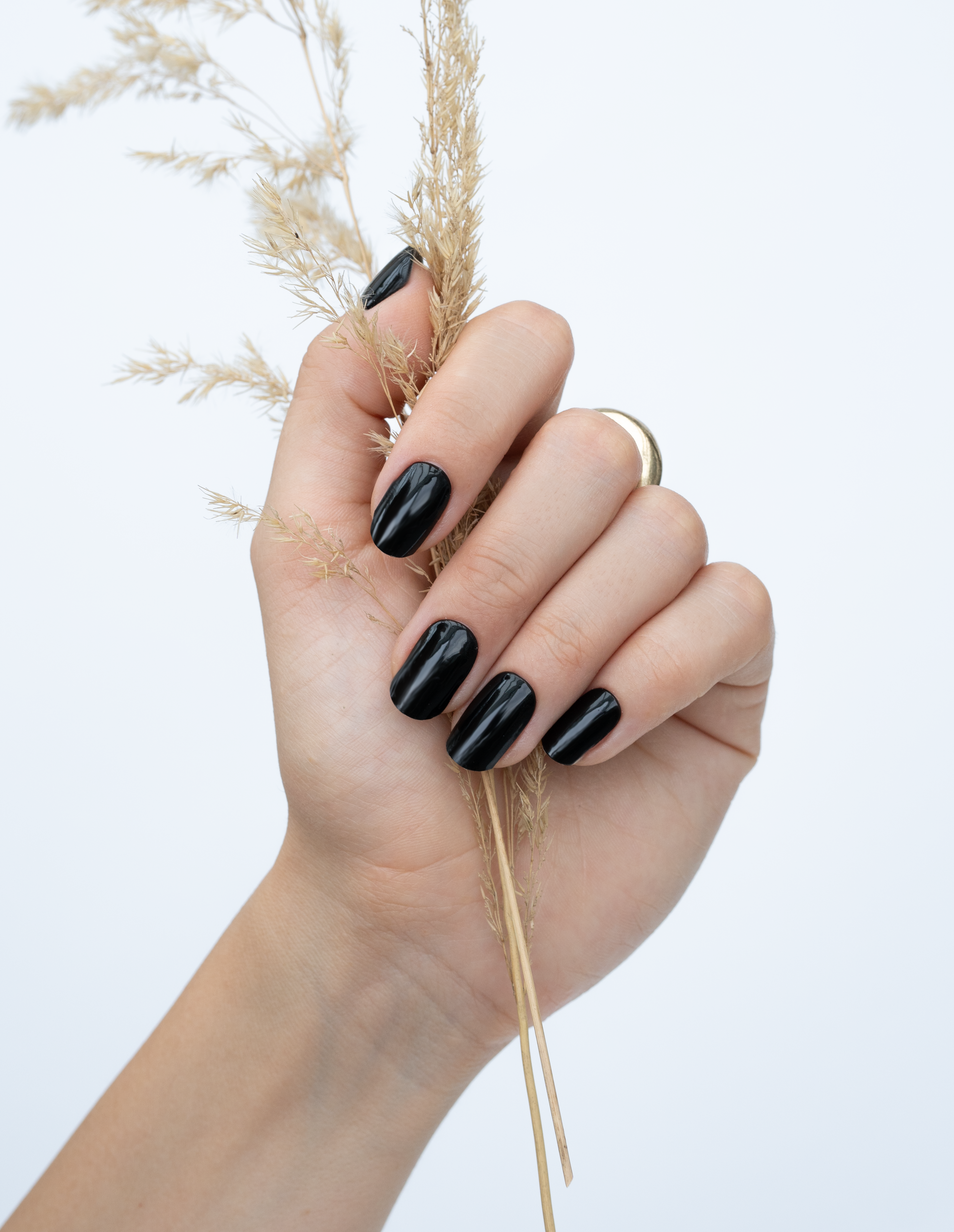 miss-sophie-black-velvet-uv-gel-nagelfolien image 3
