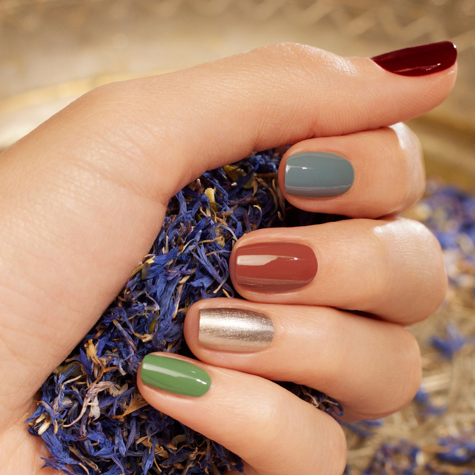 manucurist-spice-lover-nail-art-set-5-lacke-2-tools image 4