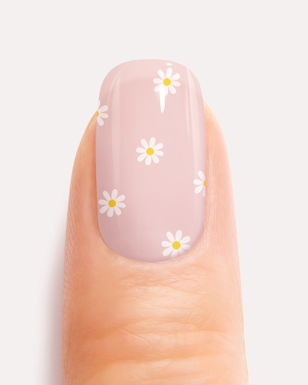 maniko-daisies-uv-uv-gel-strips-g-nsebl-mchen-semi-transparent image 6