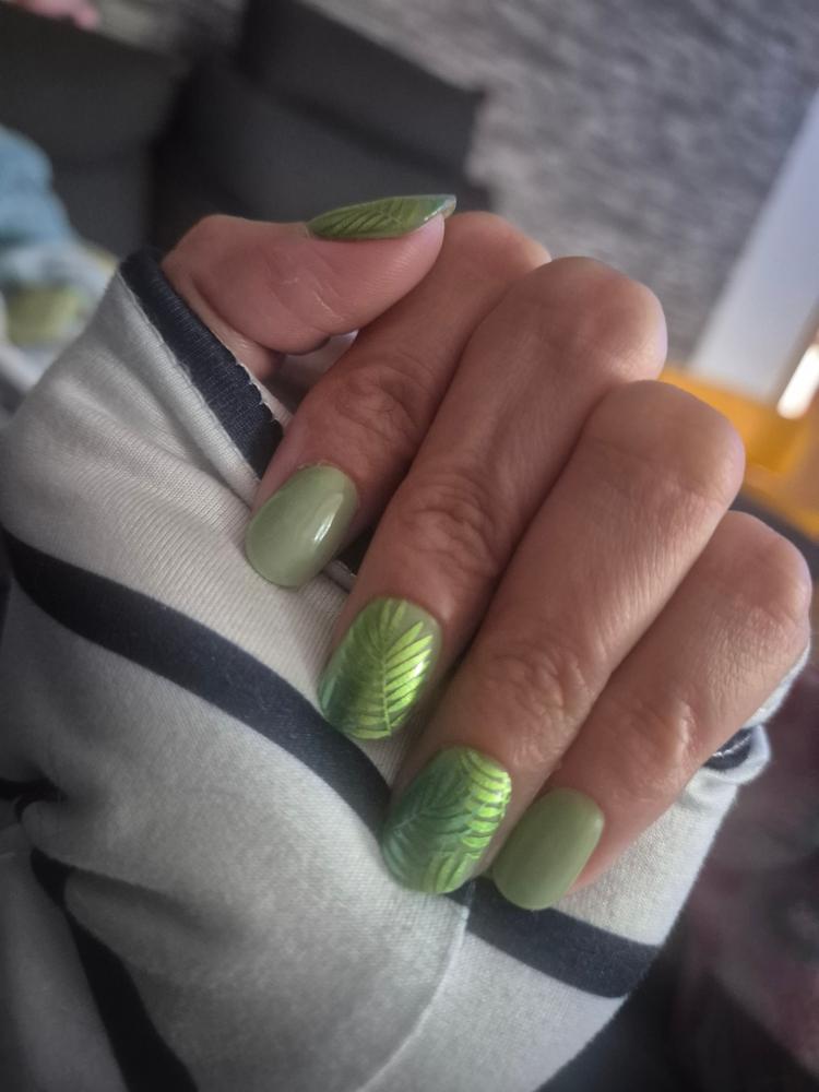 Tolle Herbstfarbe