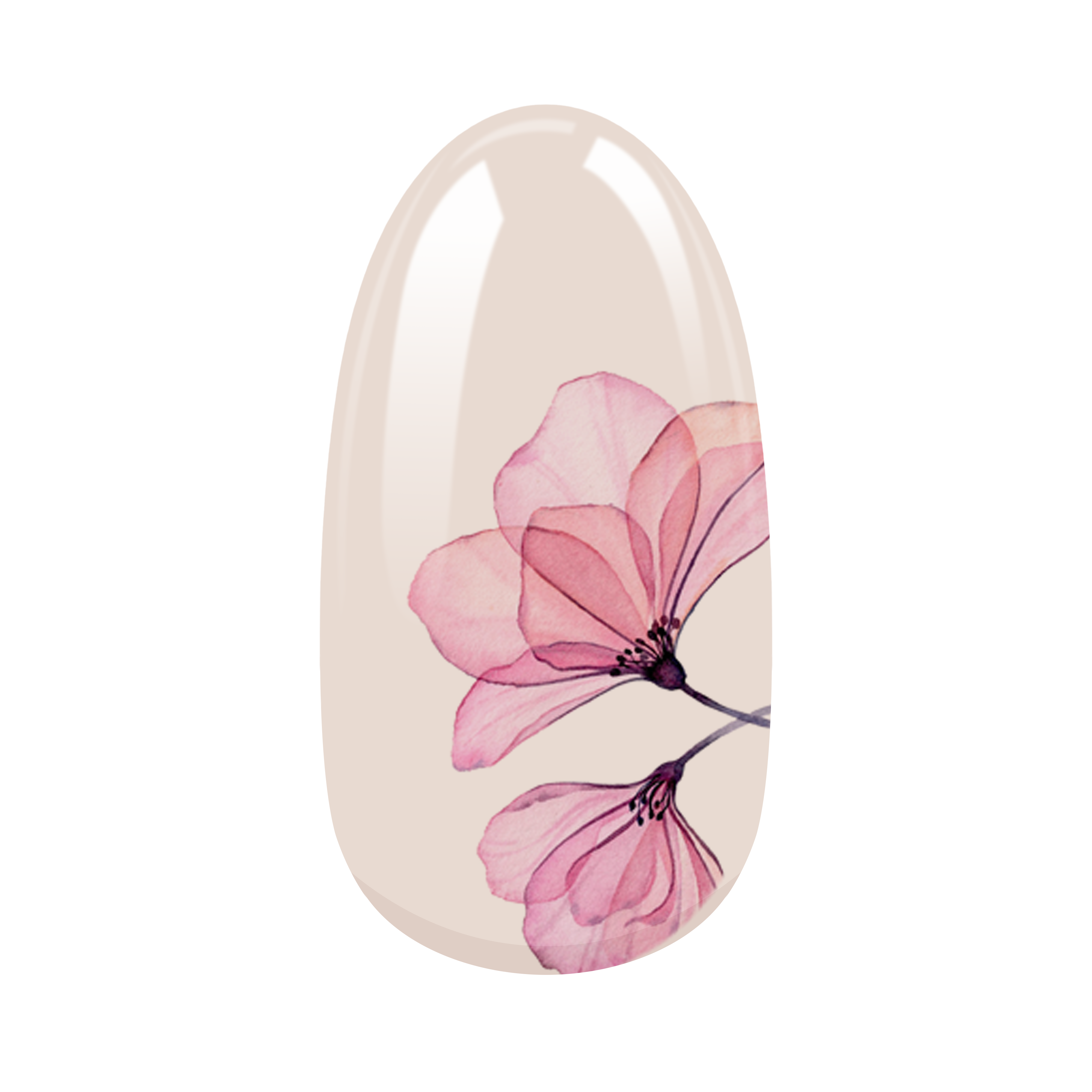 miss-sophie-romantic-garden-nagelfolien-botanical image 2
